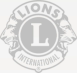 Heske Volz & Cie. Logo Lions