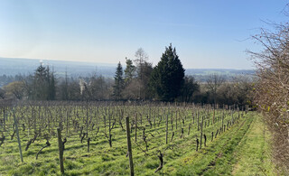 Traumhaftes Gartengrundstück mit Blick in die Weinberge