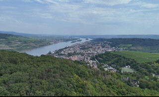 Attraktives Baugrundstück mit Rheinblick